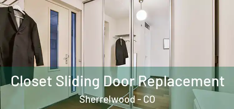  Closet Sliding Door Replacement Sherrelwood - CO