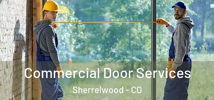 Commercial Door Services Sherrelwood - CO