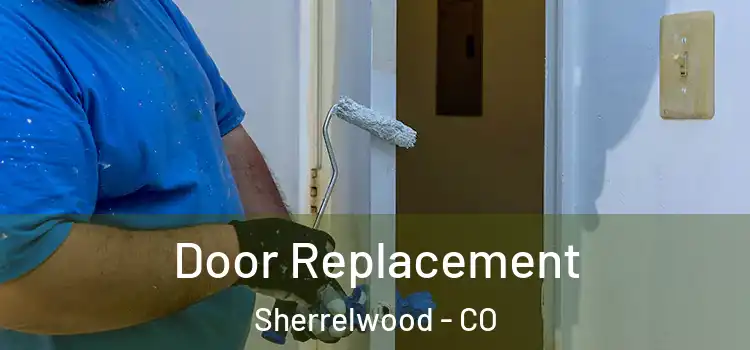  Door Replacement Sherrelwood - CO