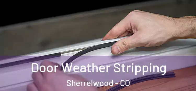 Door Weather Stripping Sherrelwood - CO