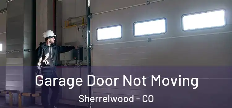  Garage Door Not Moving Sherrelwood - CO
