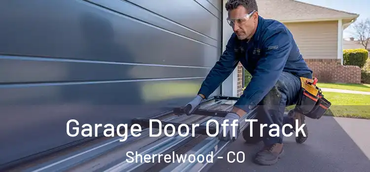  Garage Door Off Track Sherrelwood - CO
