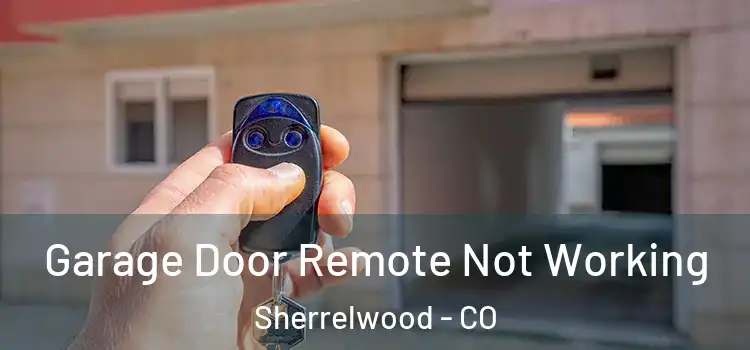  Garage Door Remote Not Working Sherrelwood - CO