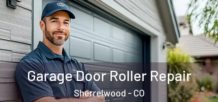 Garage Door Roller Repair Sherrelwood - CO