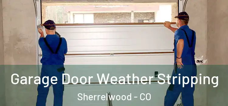  Garage Door Weather Stripping Sherrelwood - CO