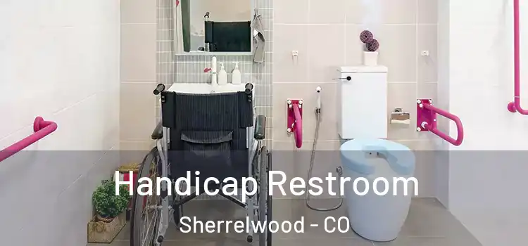  Handicap Restroom Sherrelwood - CO