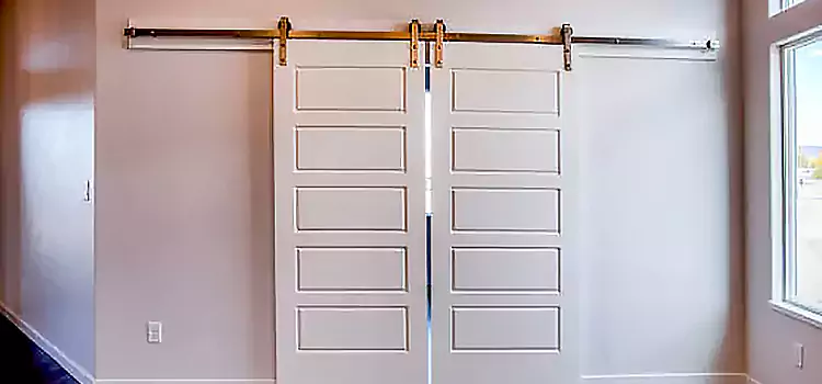 Glass Barn Door with Installation Hardware Kit Sherrelwood