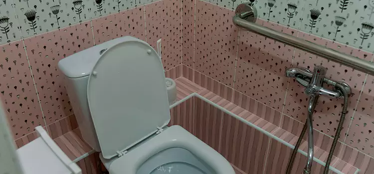 Meeting Diverse Needs With Accessible Restroom Solutions in Sherrelwood, CO