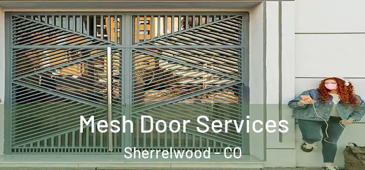  Mesh Door Services Sherrelwood - CO