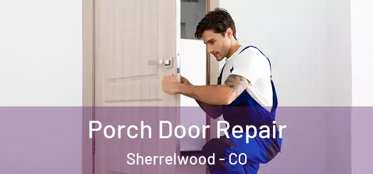  Porch Door Repair Sherrelwood - CO
